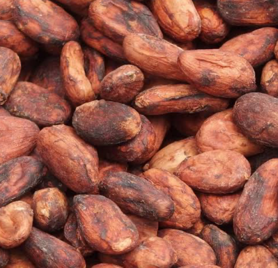 カカオ焙煎(ニブシュガー作り)教室